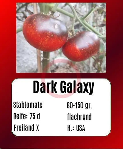Dark Galaxy DER TOMATENFLÜSTERER