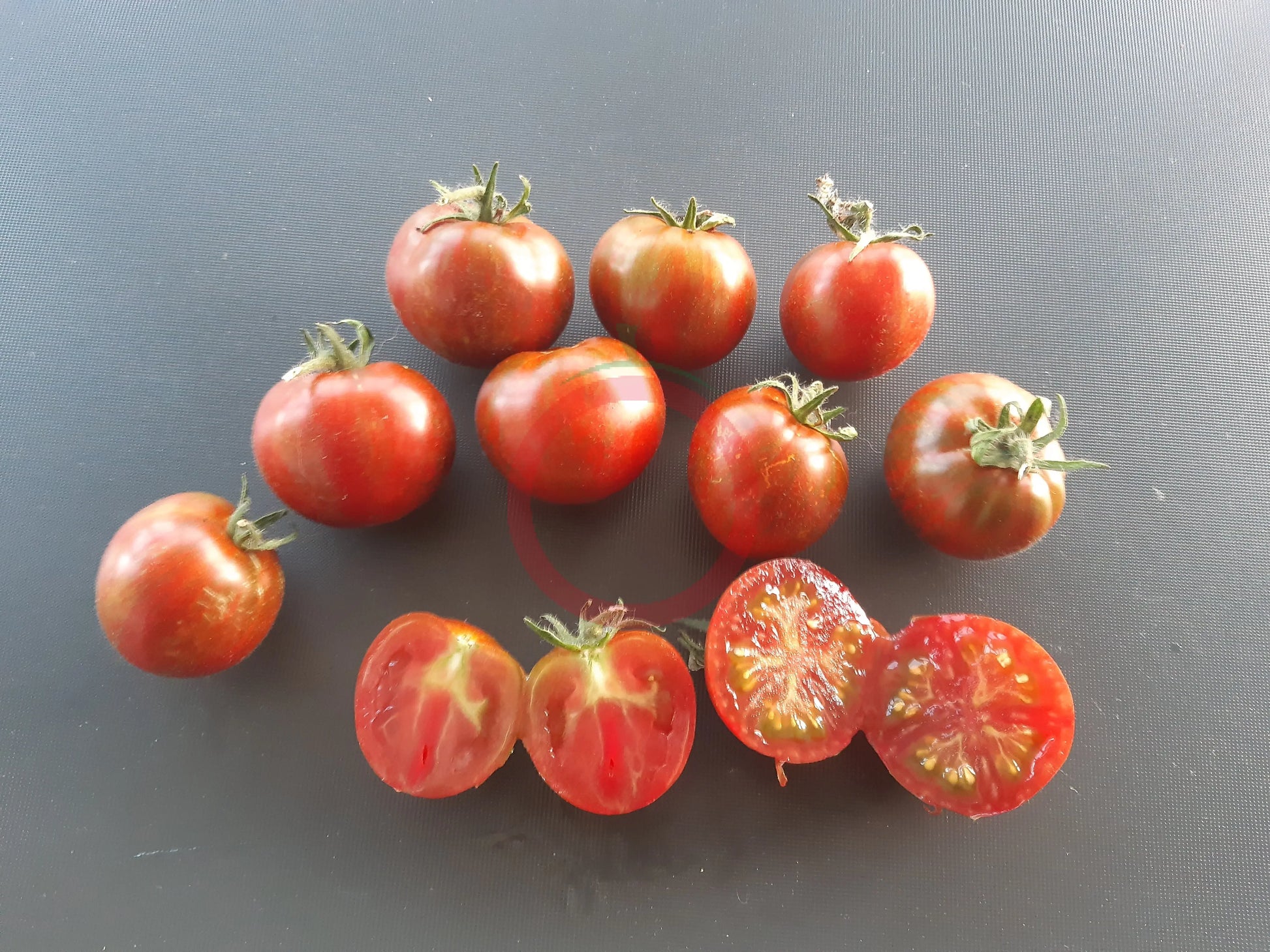 Dark Stripe Micro DER TOMATENFLÜSTERER