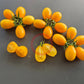 Dattelwein DER TOMATENFLÜSTERER