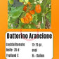Datterino Arancione DER TOMATENFLÜSTERER
