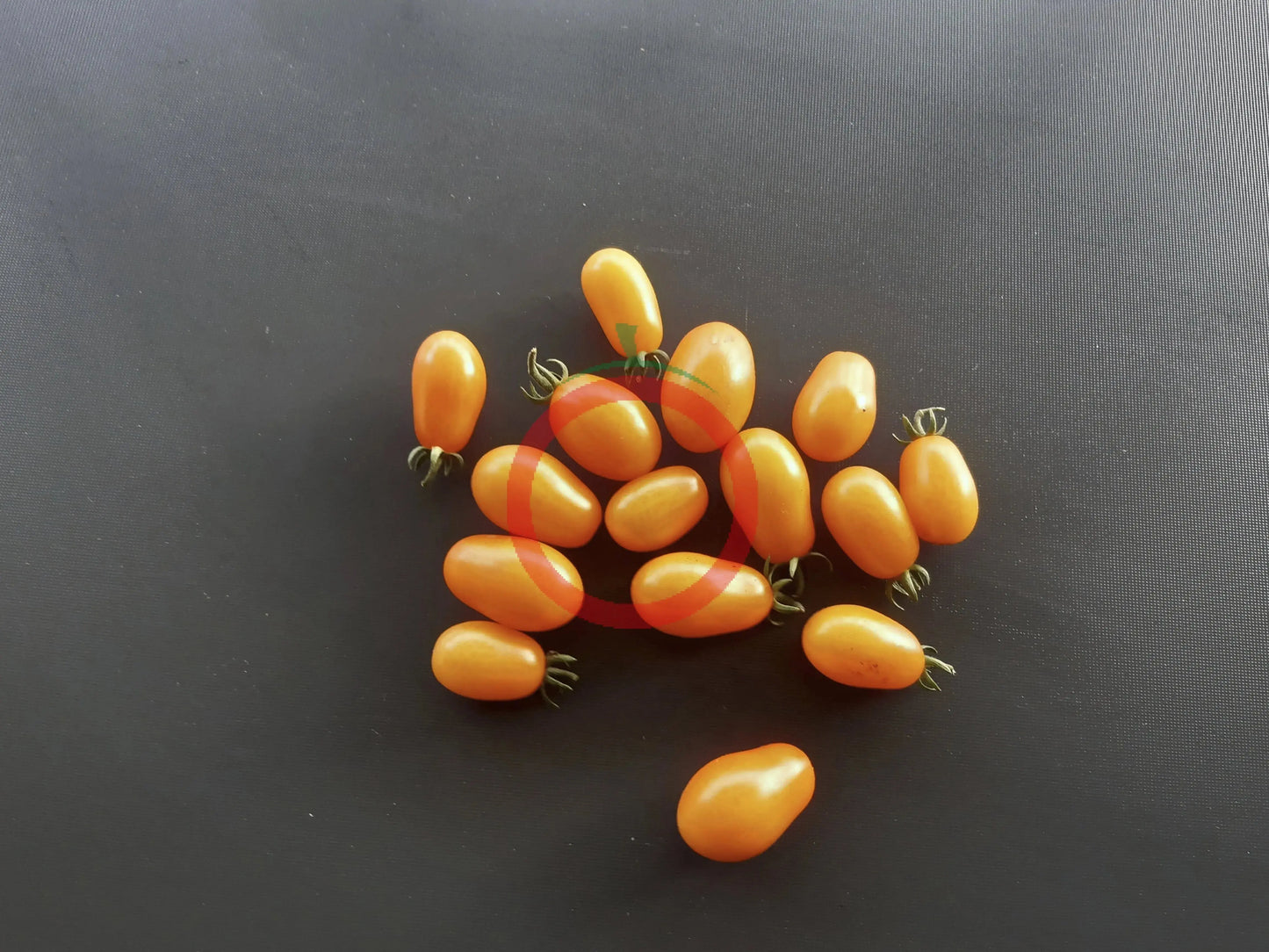 Datterino Arancione DER TOMATENFLÜSTERER