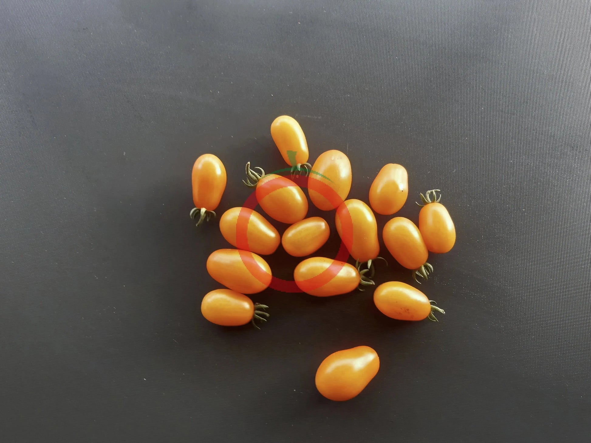 Datterino Arancione DER TOMATENFLÜSTERER
