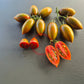 Datterino Nero di Cino DER TOMATENFLÜSTERER