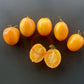 De Berao gelb DER TOMATENFLÜSTERER