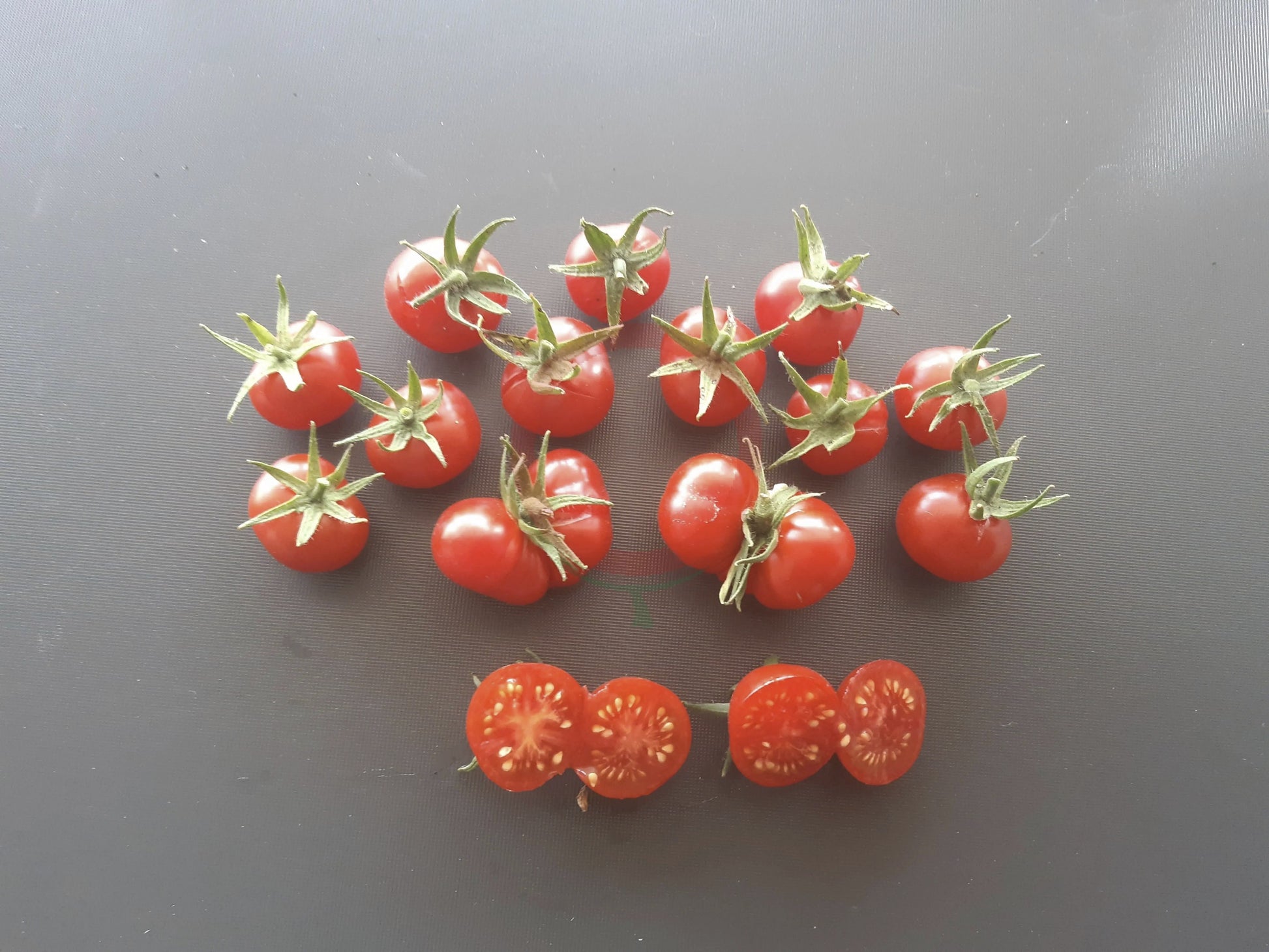 Del Gato DER TOMATENFLÜSTERER