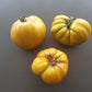 Desdemona´s Heart Kreuzung F4 DER TOMATENFLÜSTERER