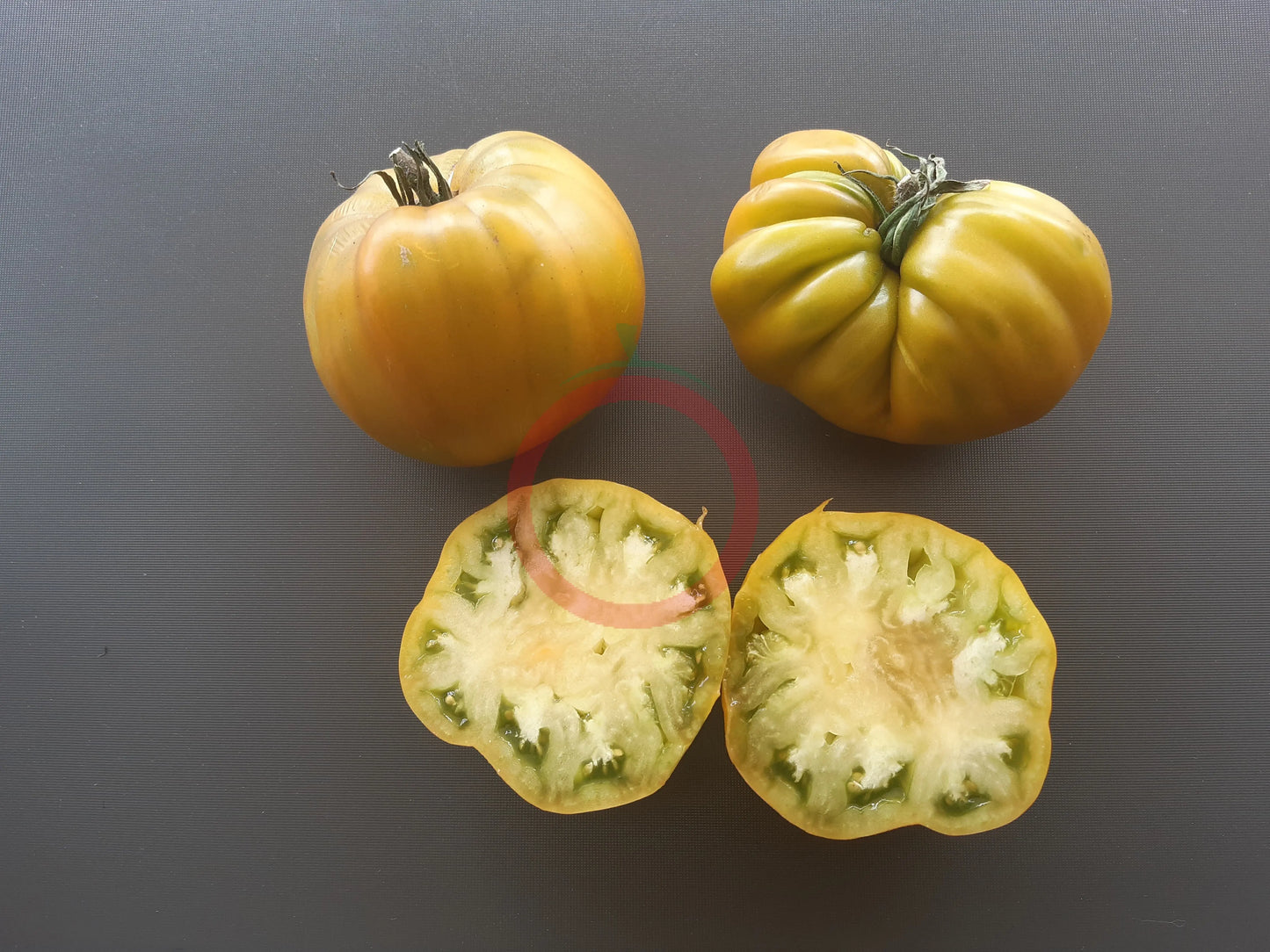 Desdemona´s Heart Kreuzung F4 DER TOMATENFLÜSTERER