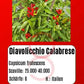 Diavolicchio Calabrese DER TOMATENFLÜSTERER
