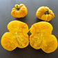 Dixie Golden Giant DER TOMATENFLÜSTERER