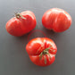 Domaca Teta Katica DER TOMATENFLÜSTERER