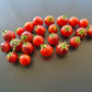 Dwarf Balkan Tiger DER TOMATENFLÜSTERER