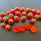 Dwarf Balkan Tiger DER TOMATENFLÜSTERER