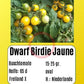 Dwarf Birdie Jaune DER TOMATENFLÜSTERER
