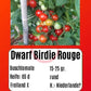 Dwarf Birdie Rouge DER TOMATENFLÜSTERER