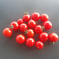 Dwarf Birdie Rouge DER TOMATENFLÜSTERER