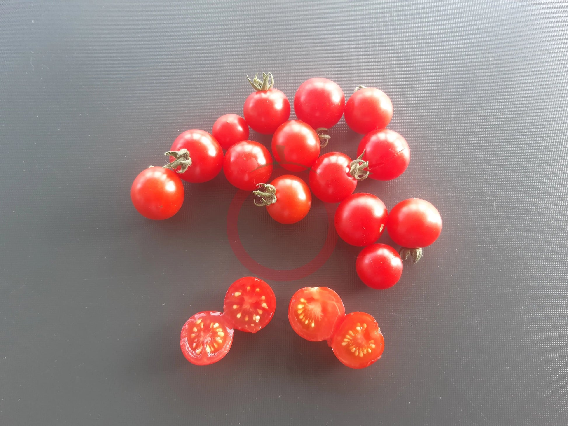 Dwarf Birdie Rouge DER TOMATENFLÜSTERER