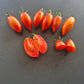 Dynamite Delight DER TOMATENFLÜSTERER