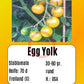 Egg Yolk DER TOMATENFLÜSTERER
