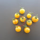 Egg Yolk DER TOMATENFLÜSTERER