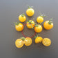 Egg Yolk DER TOMATENFLÜSTERER