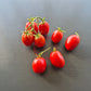 Egyptian DER TOMATENFLÜSTERER