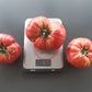 El Amar DER TOMATENFLÜSTERER