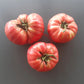 El Amar DER TOMATENFLÜSTERER