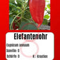 Elefantenohr DER TOMATENFLÜSTERER