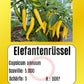 Elefantenrüssel DER TOMATENFLÜSTERER