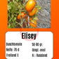 Elisey DER TOMATENFLÜSTERER