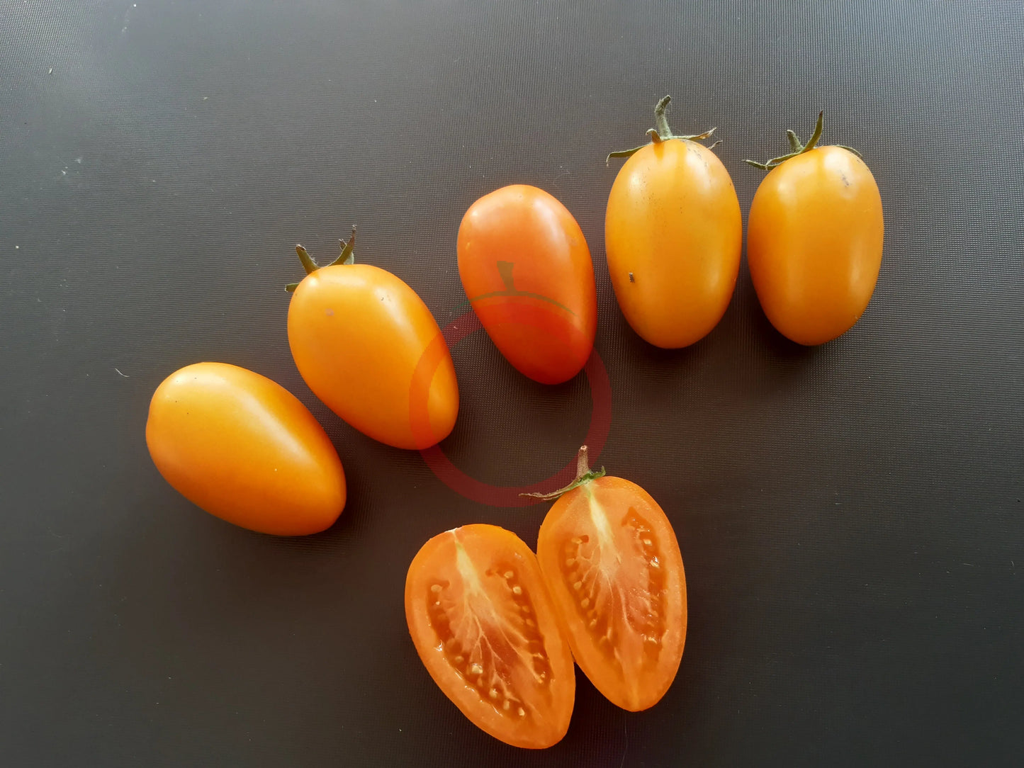 Elisey DER TOMATENFLÜSTERER