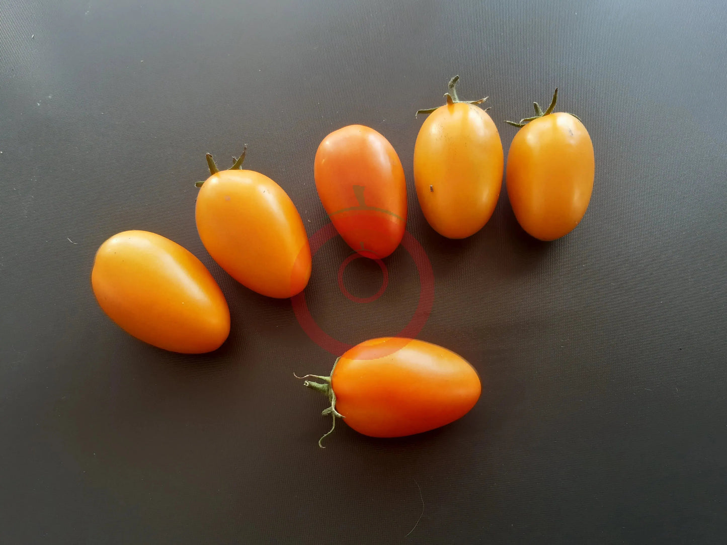 Elisey DER TOMATENFLÜSTERER
