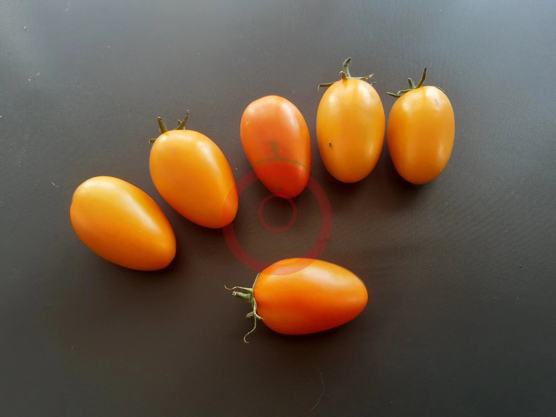 Elisey DER TOMATENFLÜSTERER