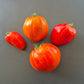 Ernesto DER TOMATENFLÜSTERER