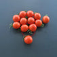 Farthest North DER TOMATENFLÜSTERER