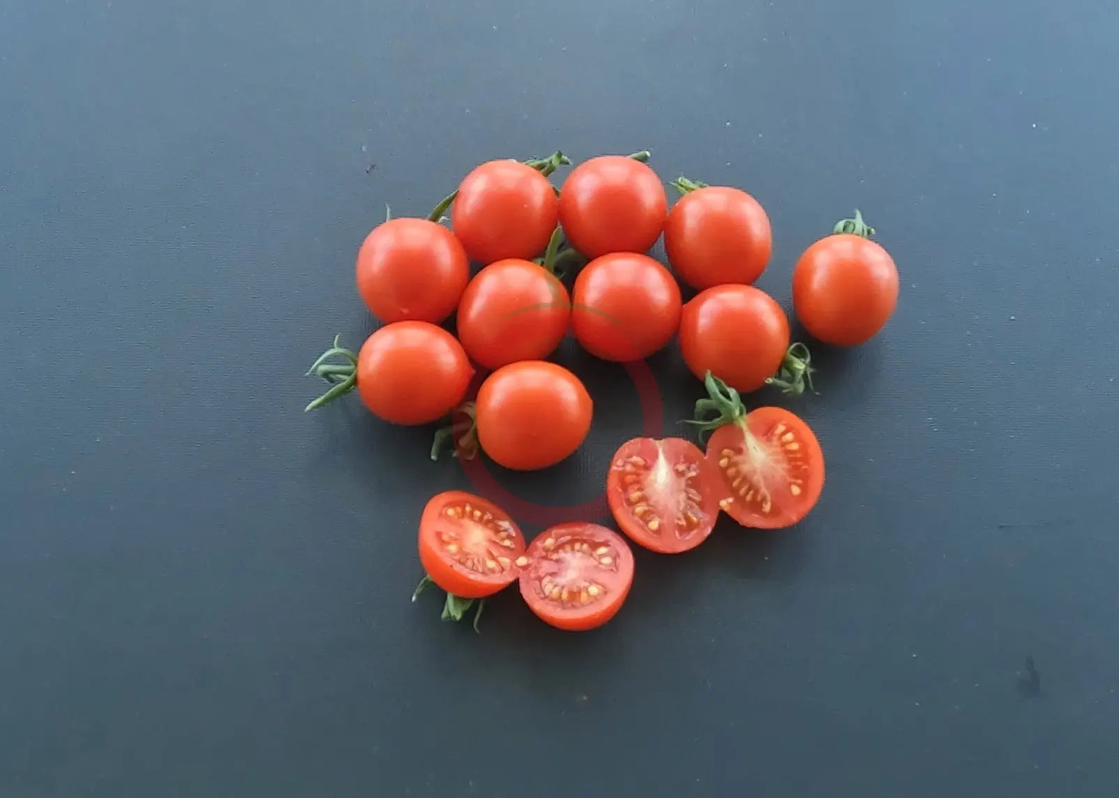 Farthest North DER TOMATENFLÜSTERER