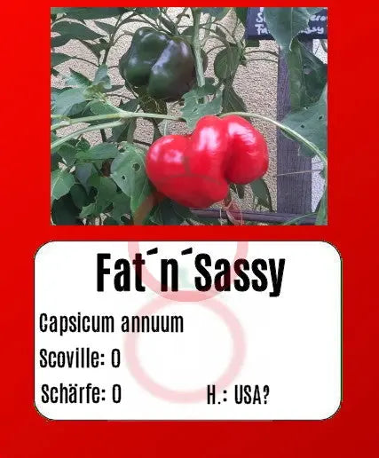 Fat´N´Sassy DER TOMATENFLÜSTERER