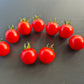 Fence Row Cherry DER TOMATENFLÜSTERER