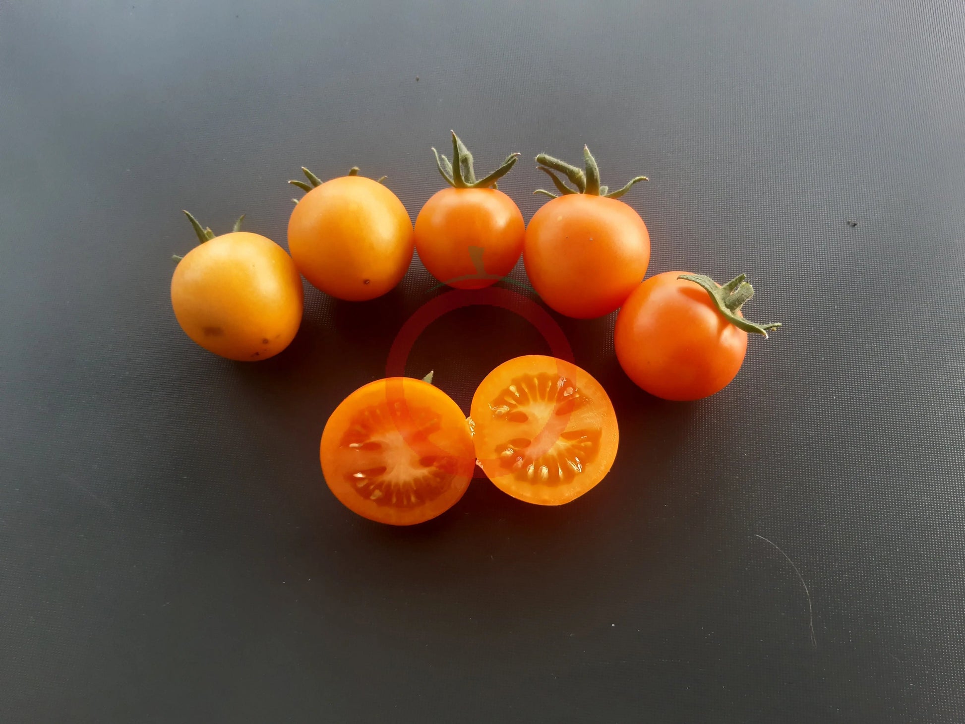 Finnish Yellow DER TOMATENFLÜSTERER