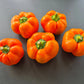 Fon Baron Orange DER TOMATENFLÜSTERER