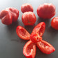 Forshmak DER TOMATENFLÜSTERER