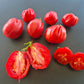 Fragola della Garfagnana DER TOMATENFLÜSTERER