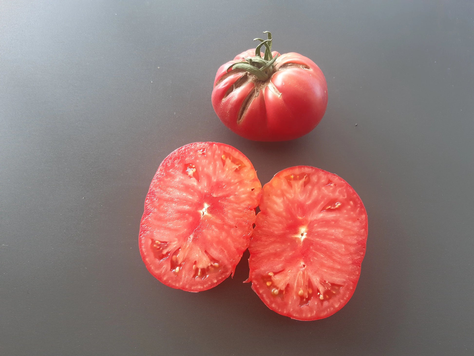Fritz Ackermann DER TOMATENFLÜSTERER
