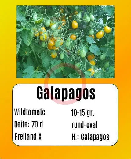 Galapagos DER TOMATENFLÜSTERER