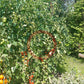Gardener Sweet-Heart DER TOMATENFLÜSTERER