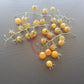 Gelbe Johannisbeere DER TOMATENFLÜSTERER