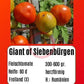 Giant of Siebenburgen DER TOMATENFLÜSTERER