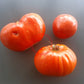 Giant of Siebenburgen DER TOMATENFLÜSTERER