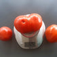 Giant of Siebenburgen DER TOMATENFLÜSTERER