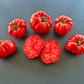 Gigante Farina DER TOMATENFLÜSTERER